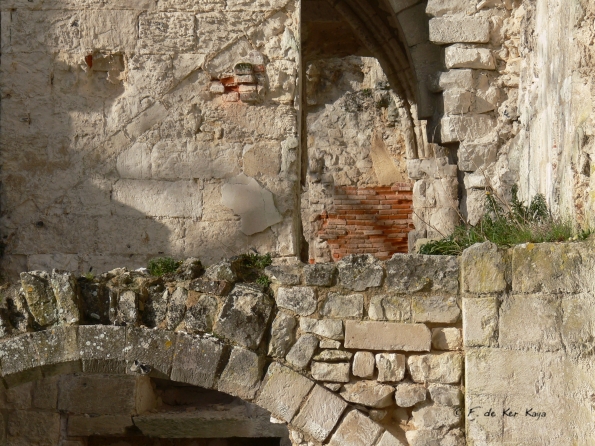 Jumièges (4) mars 2012